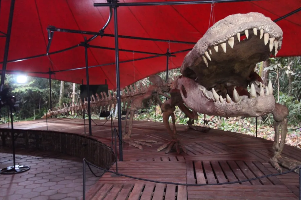 purussaurus brasiliensis Portal Fred Novaes