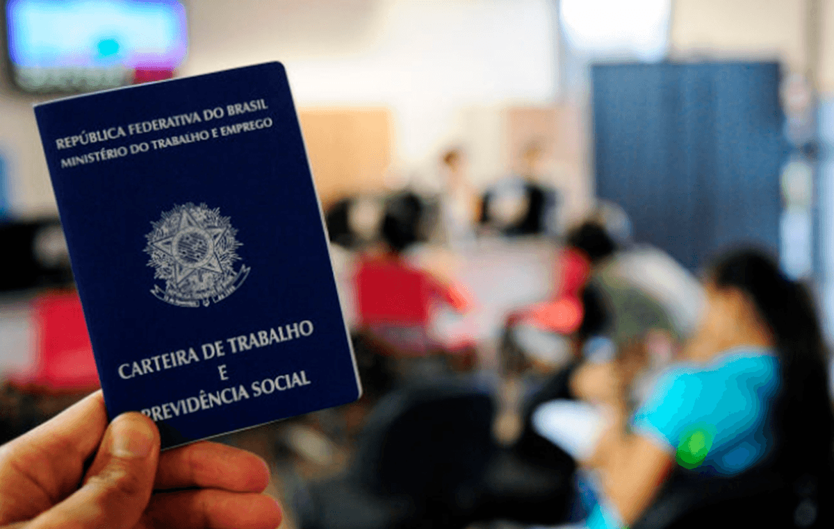 Amazonas lidera no Norte as vagas com carteira assinada 1 Portal Fred Novaes