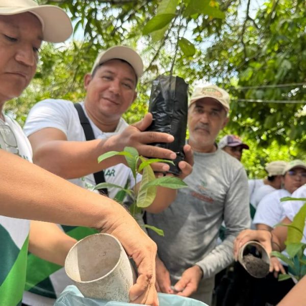 Agrega+ é certificada pelo Hub CNA e entra no portfólio nacional de inovação agro