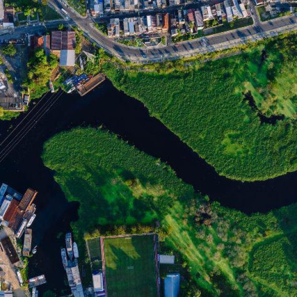 Associação de desenvolvimento sustentável inaugura núcleo em Manaus
