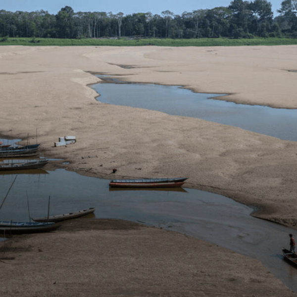 Fitea 2025 debate reforma, clima e COP30 na Amazônia