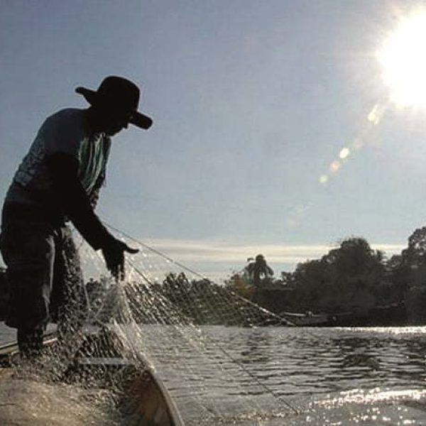 Amazonas abre mais de 100 vagas em bolsas para pesca artesanal