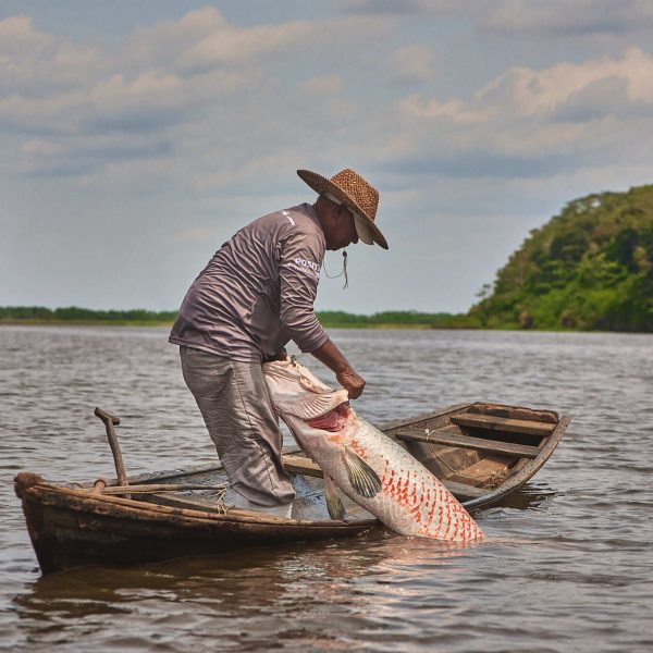 Comunidades da Amazônia recebem flutuante para beneficiar pirarucu