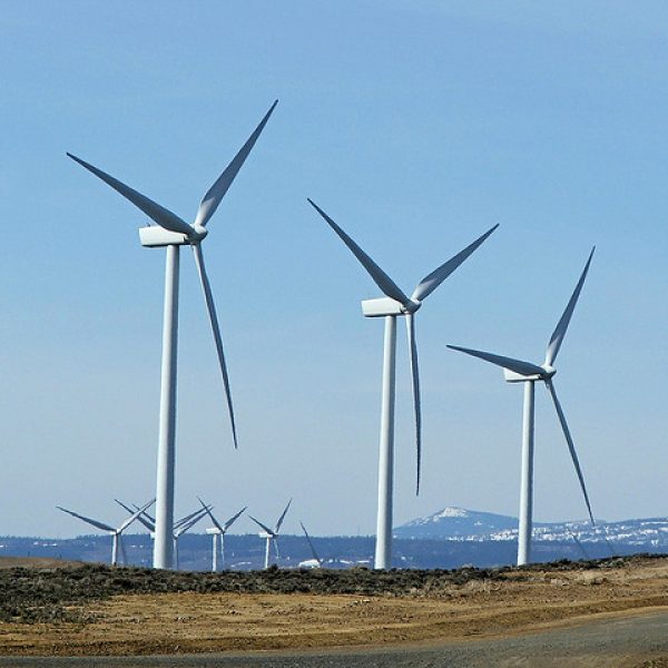 Indústria propõe debate sobre futuro sustentável em webinar do Senai CETIQT